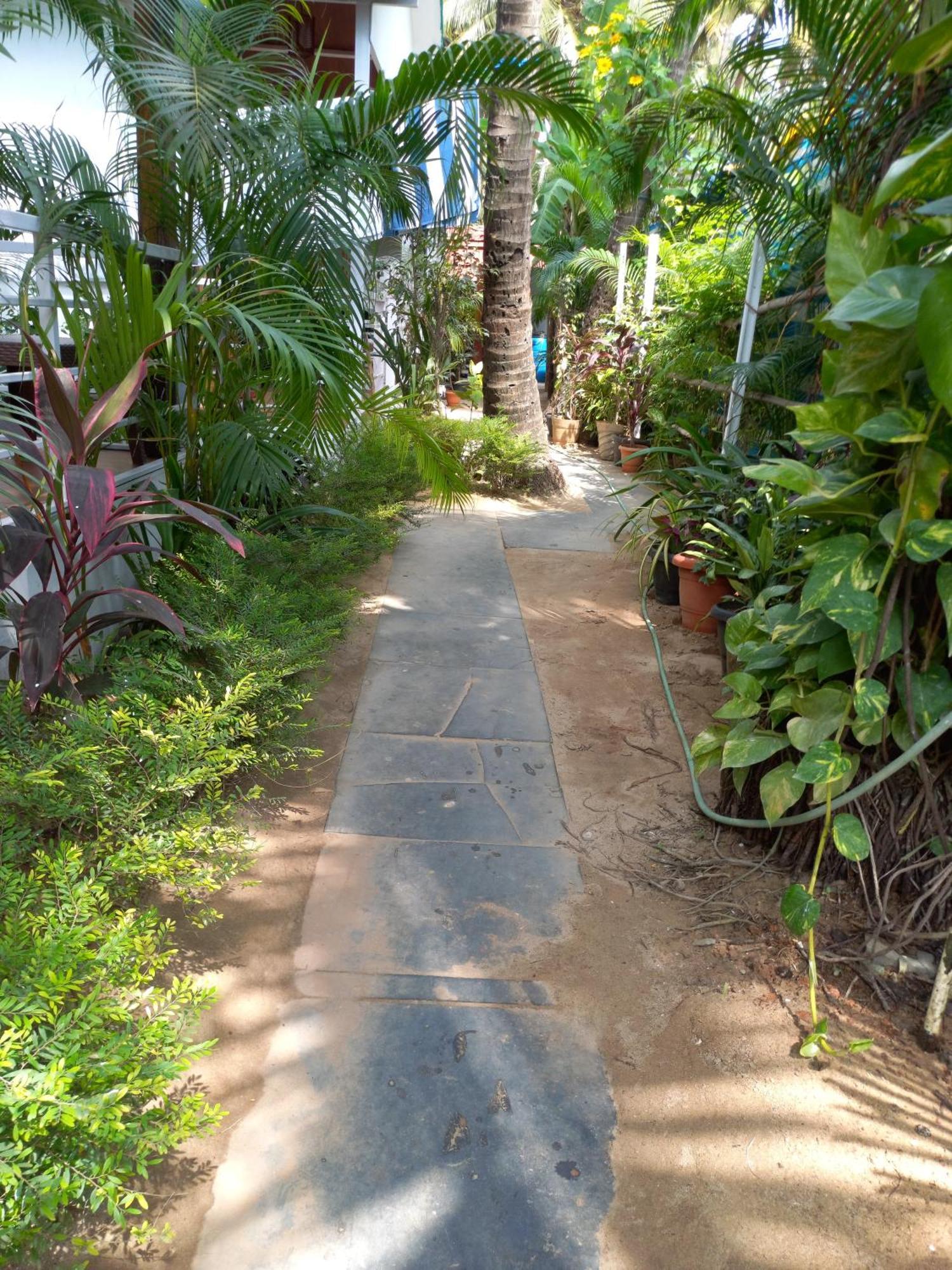Royal Castle Resort Palolem, Canacona Ngoại thất bức ảnh
